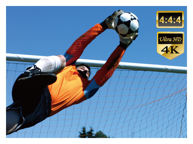 OIP-D50E / OIP-D50D 編碼器與解碼器 產品圖 1